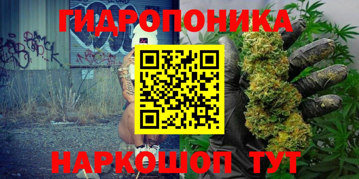 Бошки марихуана план  Вход с VPN  Гай  МАРИХУАНА SATIVA & INDICA  Марихуана AK-47 
